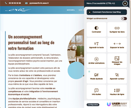 Accessibilité sur le site internet de l'ESRP CRIC Pyrénées © CRIC
