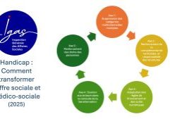 Rapport IGAS-image en vue